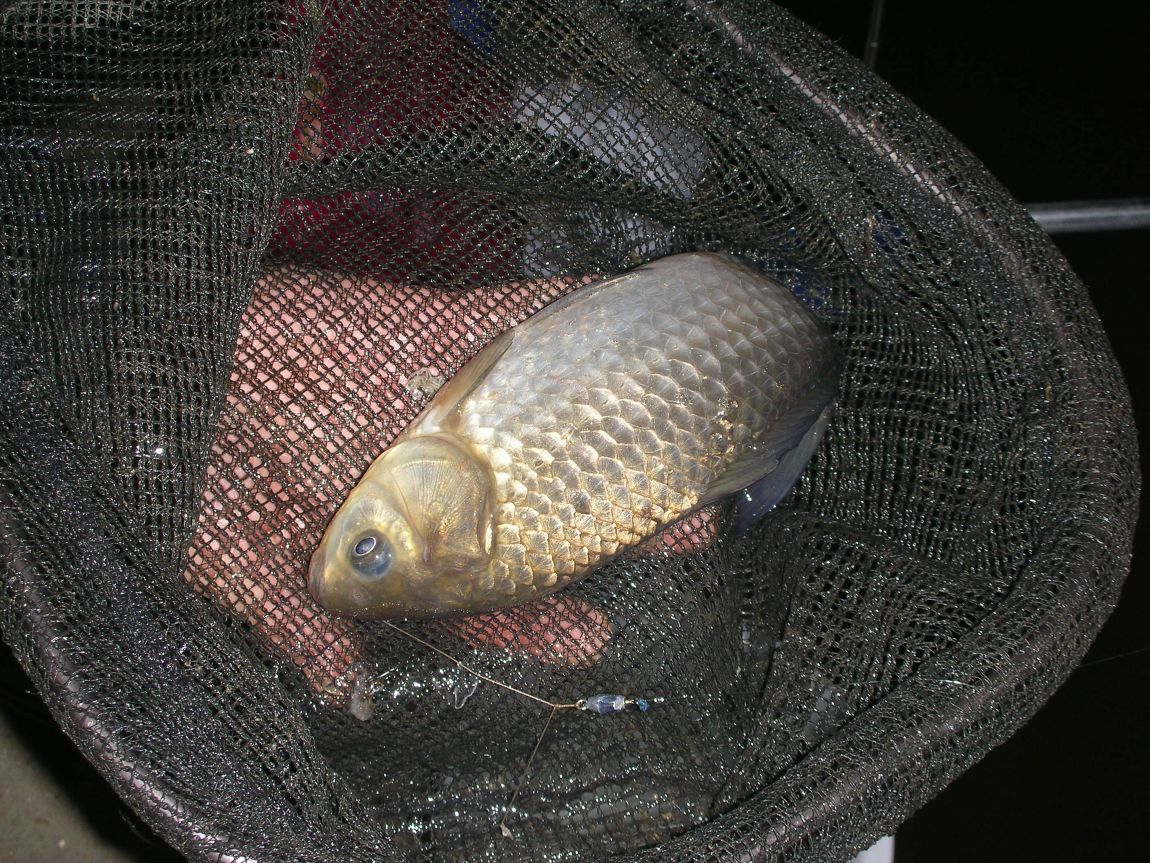 DSCN1870.JPG