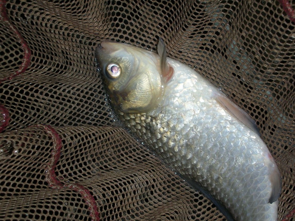 DSCN1873.JPG