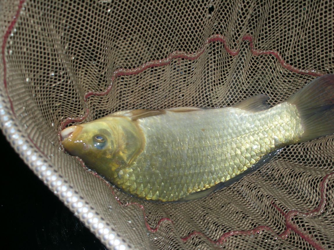 DSCN1879.JPG