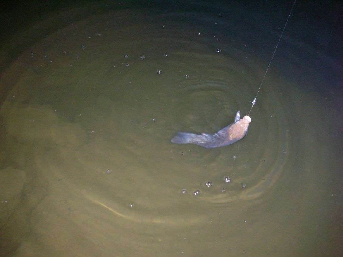 DSCN1887.JPG