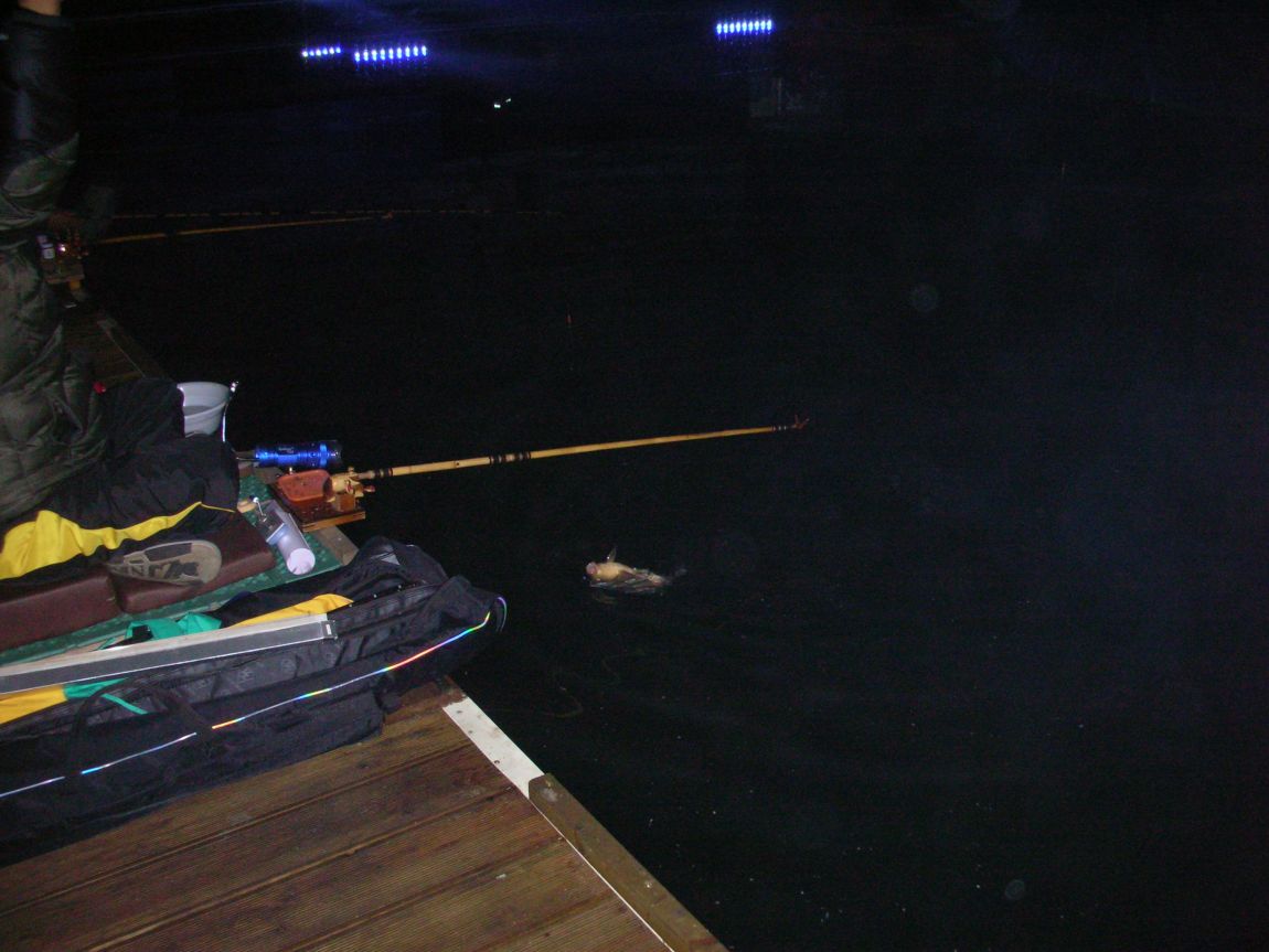 DSCN1888.JPG