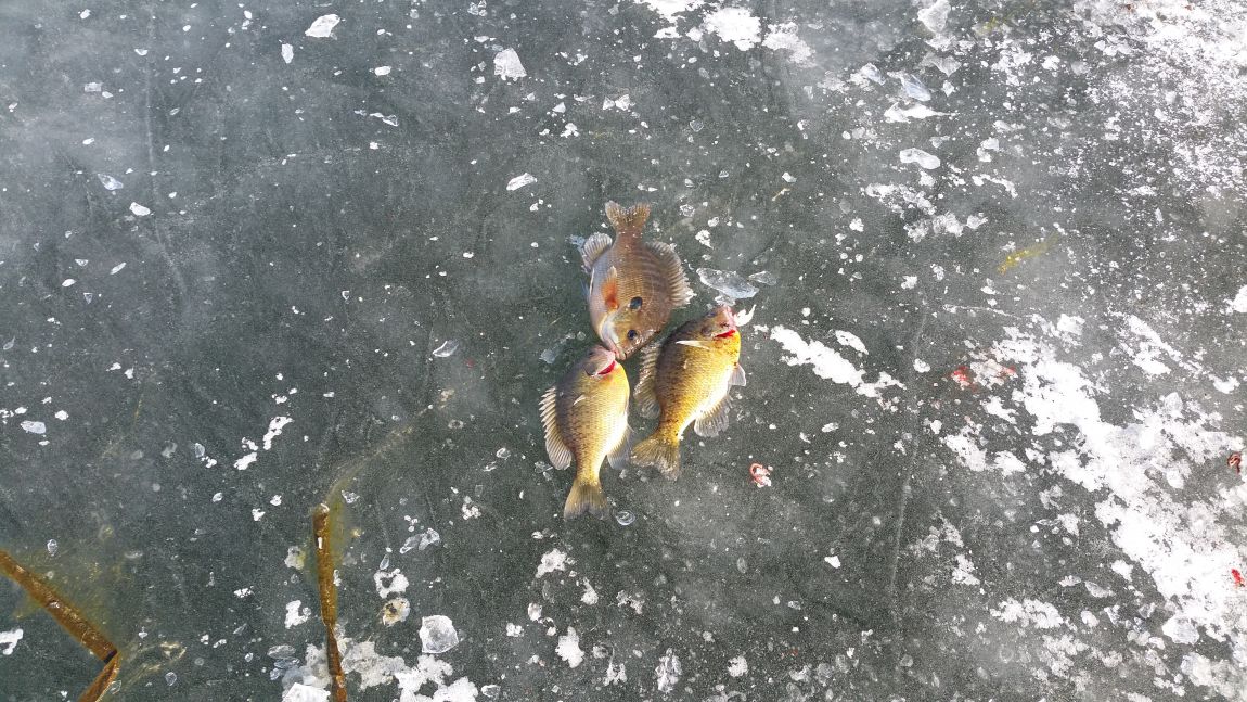 20150118_104407.jpg
