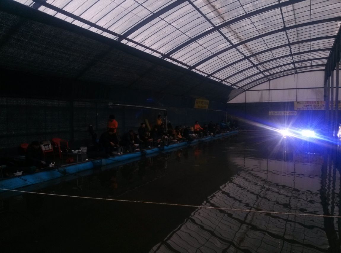 CAM02684.jpg