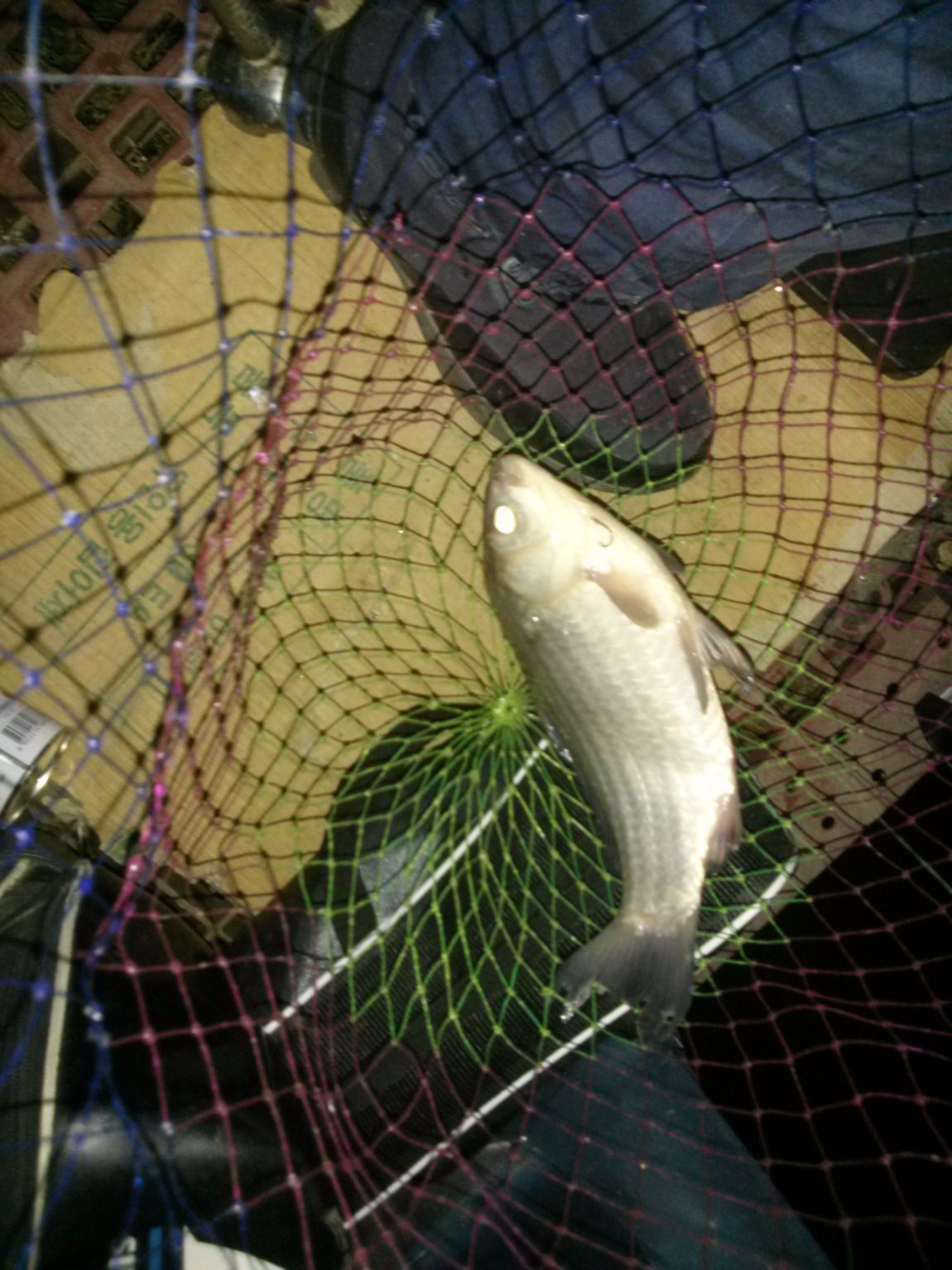 CAM03871.jpg