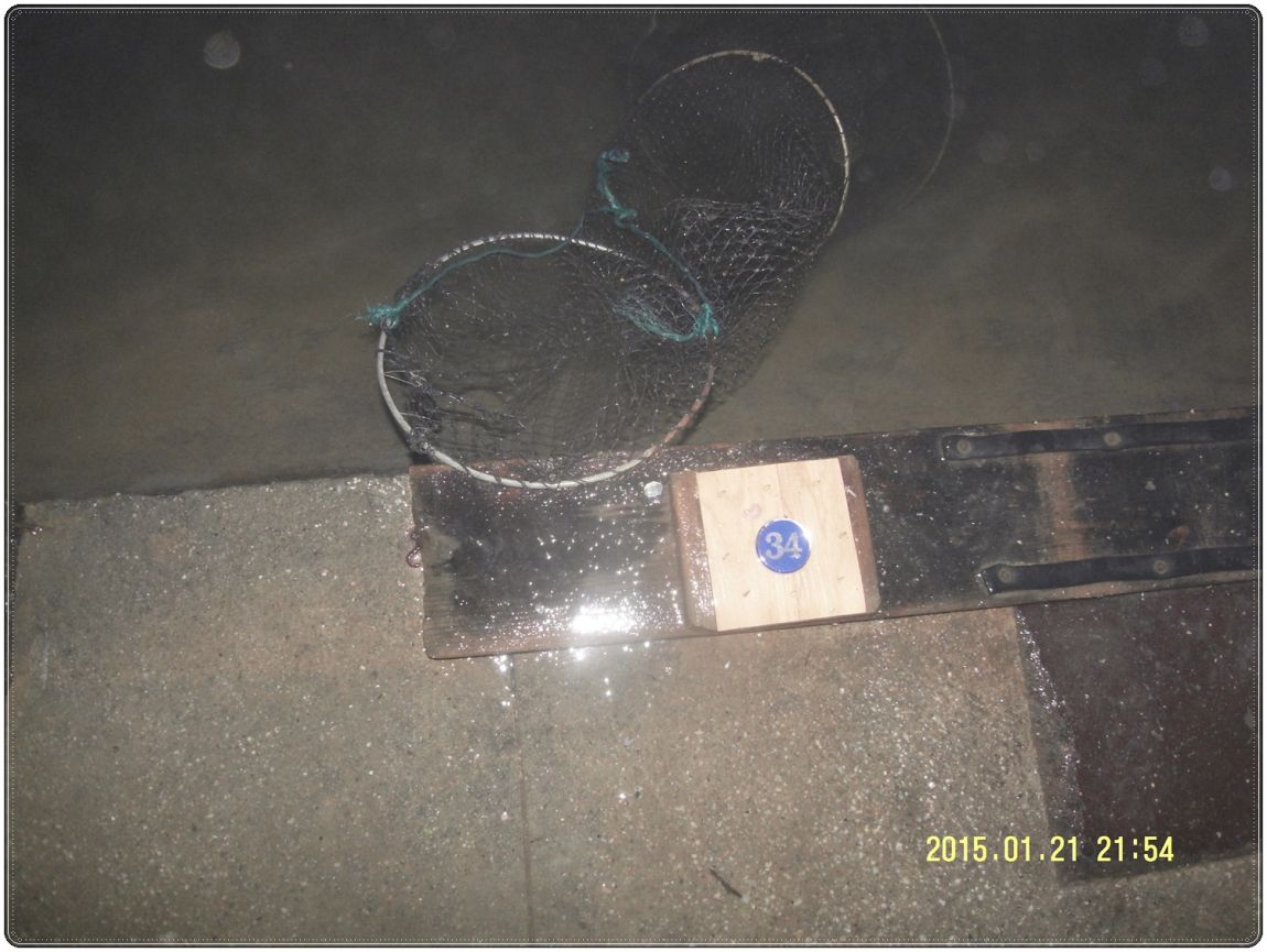 SDC10009.JPG