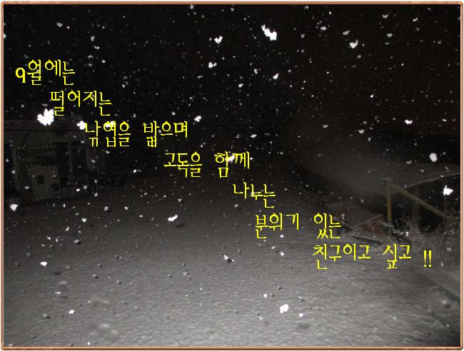 ٹ̱_IMG_0380.JPG