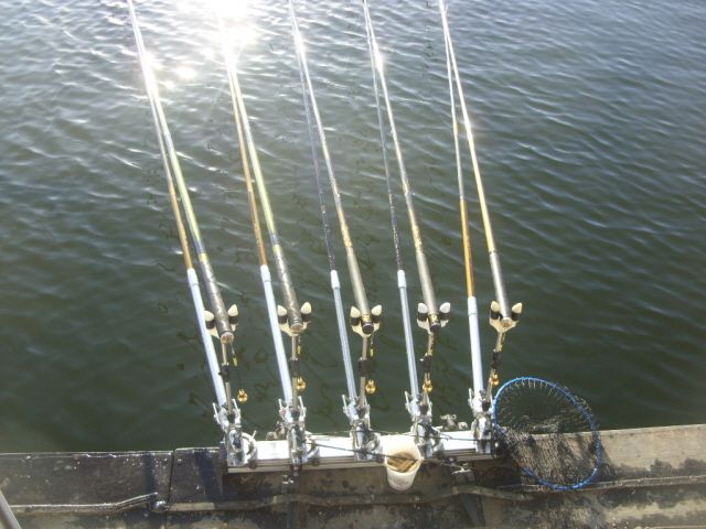 6.JPG