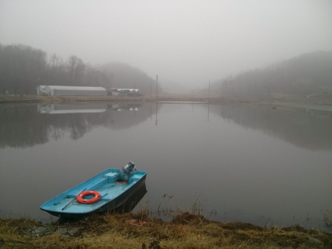 CAM03929.jpg