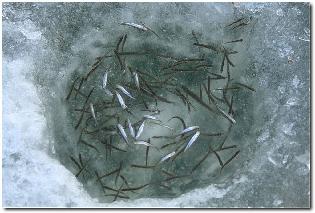 7�������� 18907.jpg