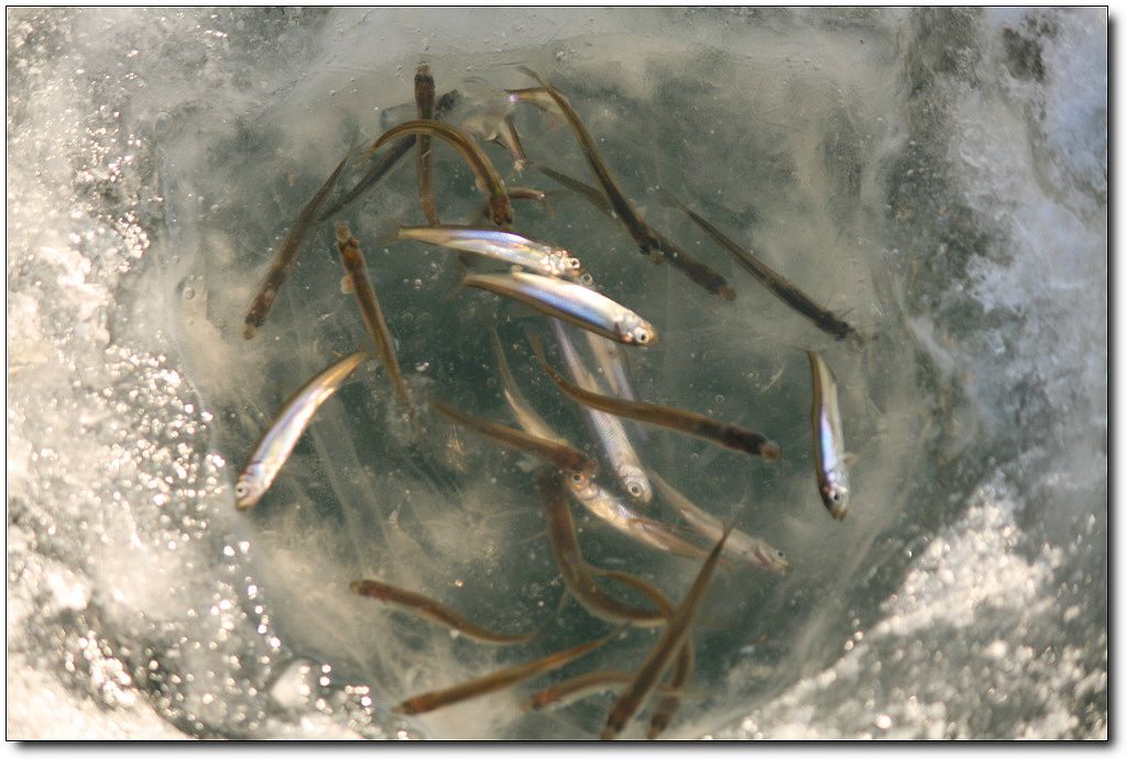 7�������� 18919.jpg