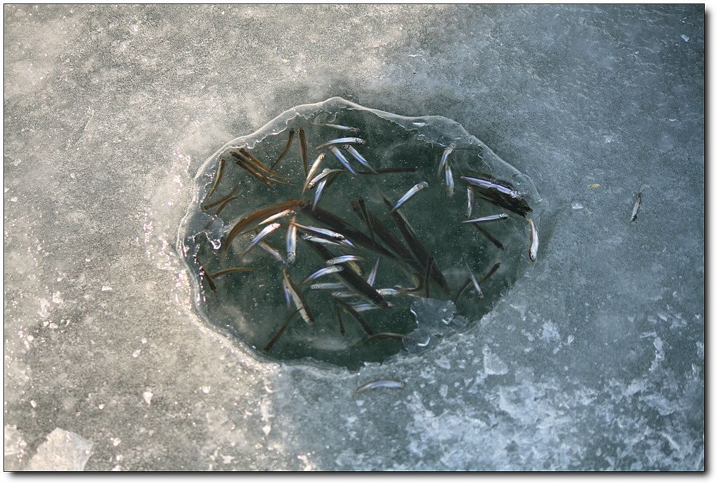 7�������� 18925.jpg