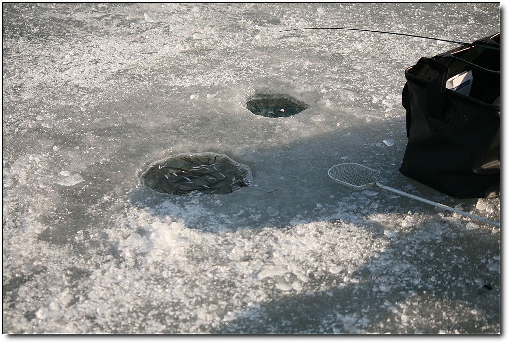 7�������� 18931.jpg