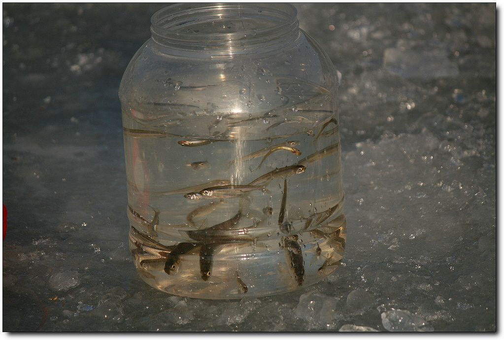 7�������� 18944.jpg