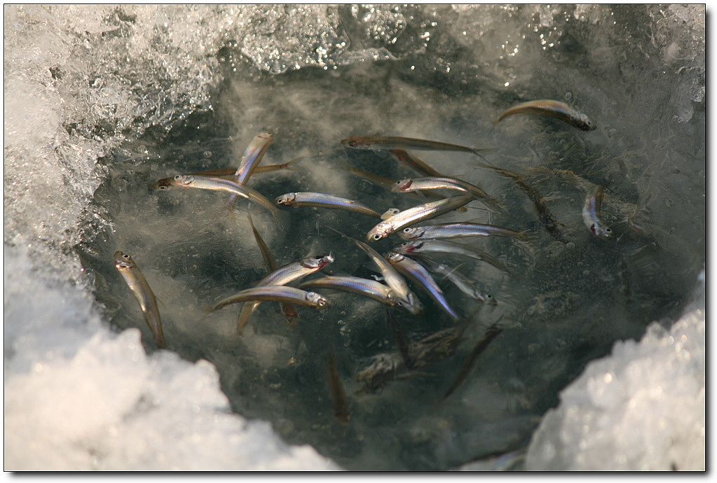 7�������� 18963.jpg