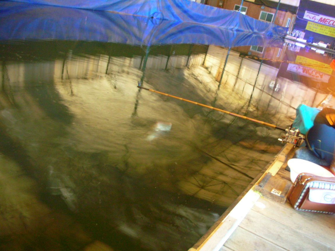 DSCN2371.JPG