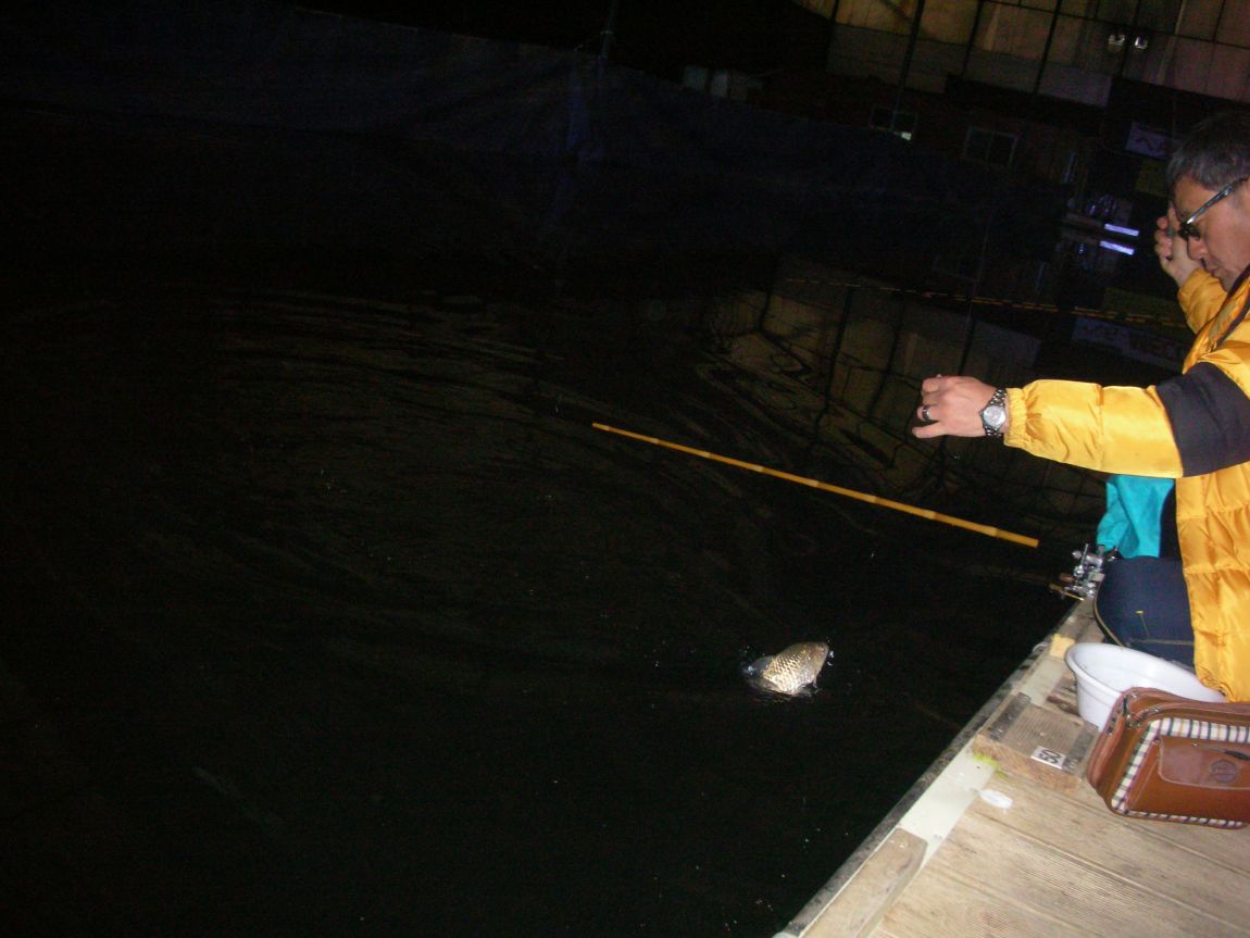 DSCN2373.JPG