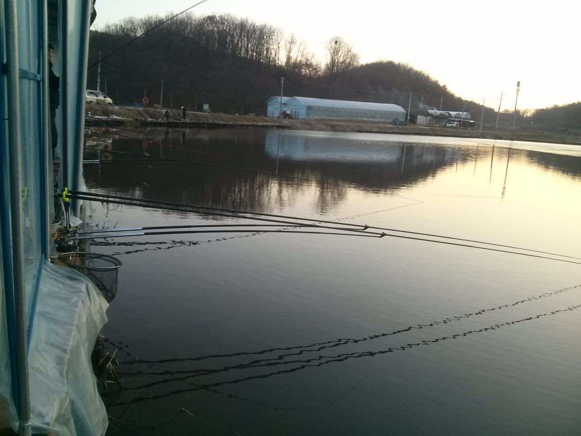 CAM03961.jpg