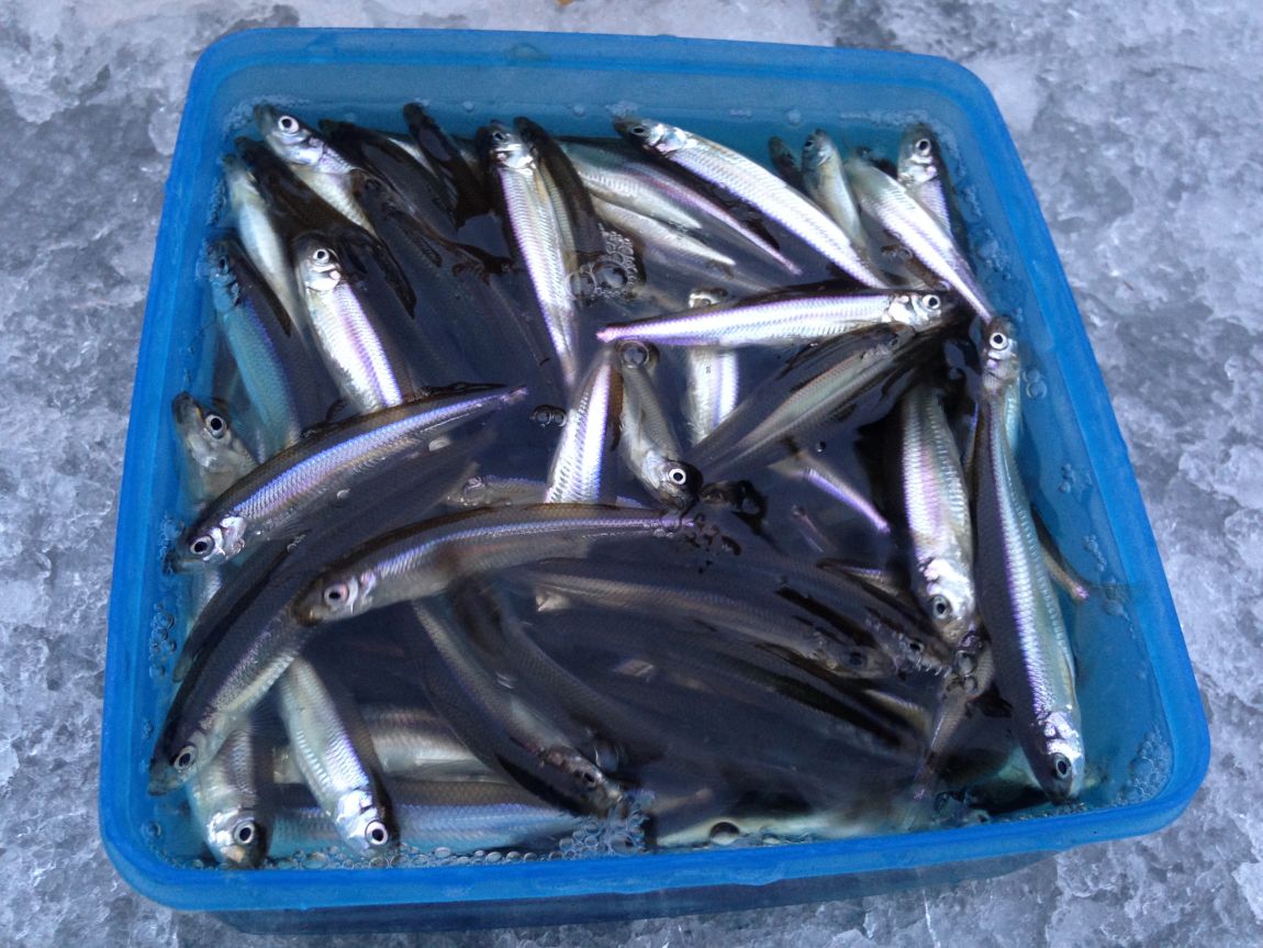 ���� 019.jpg