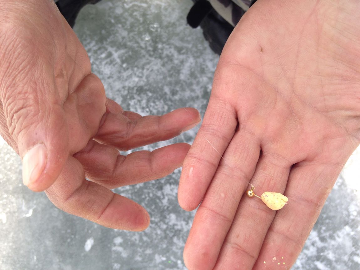 ���� 003.jpg