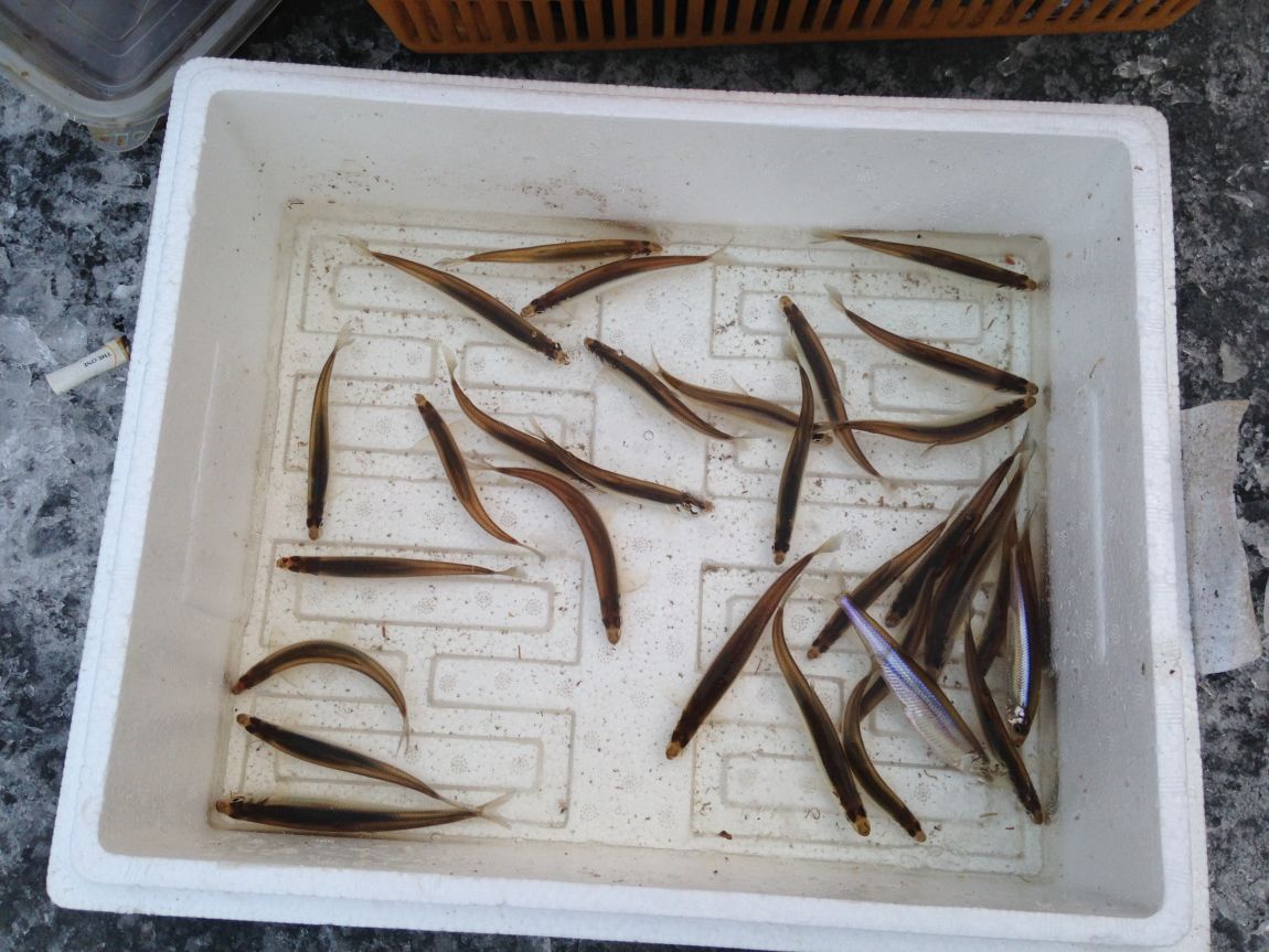 ���� 014.jpg