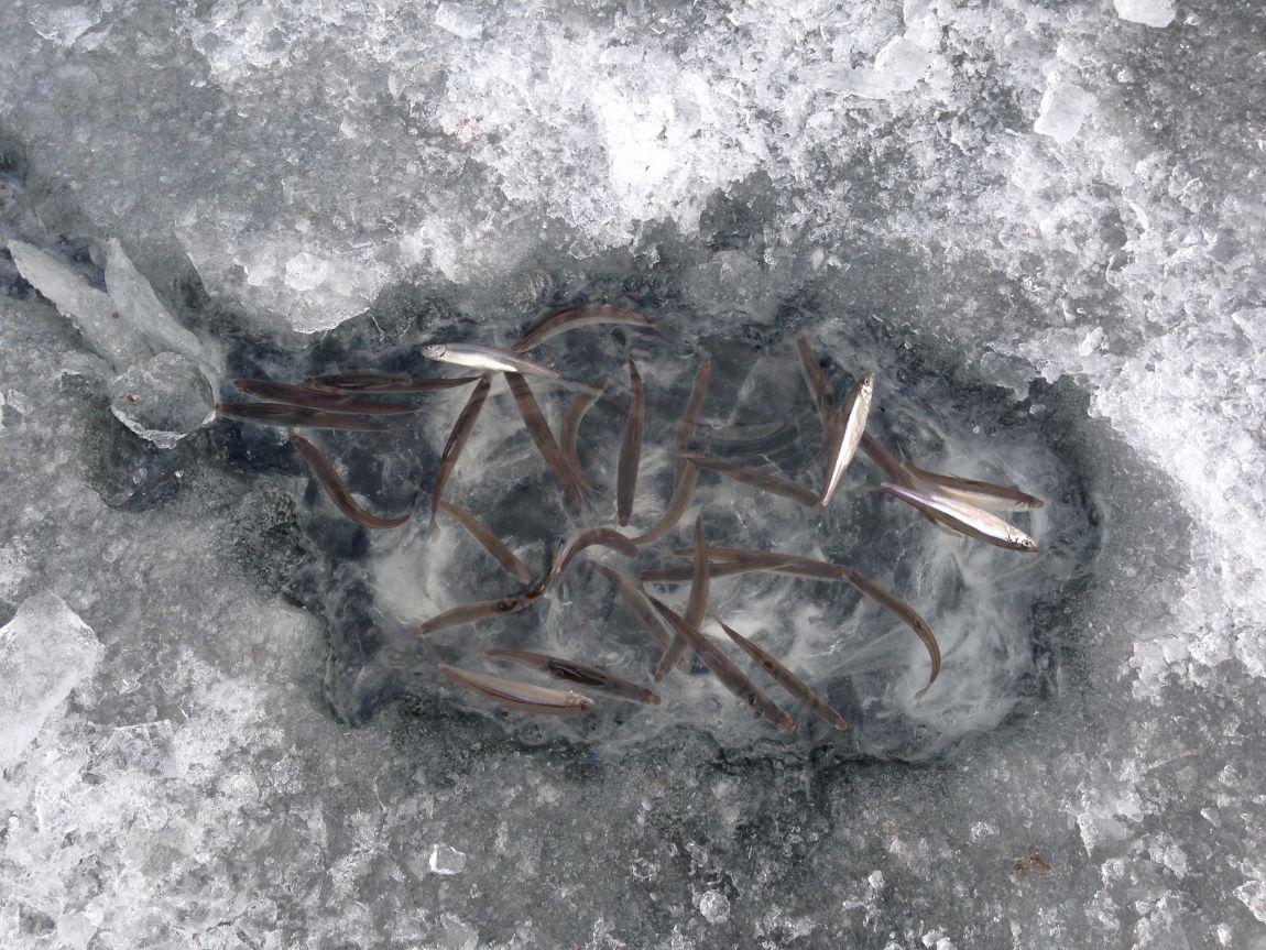 ���� 015.jpg