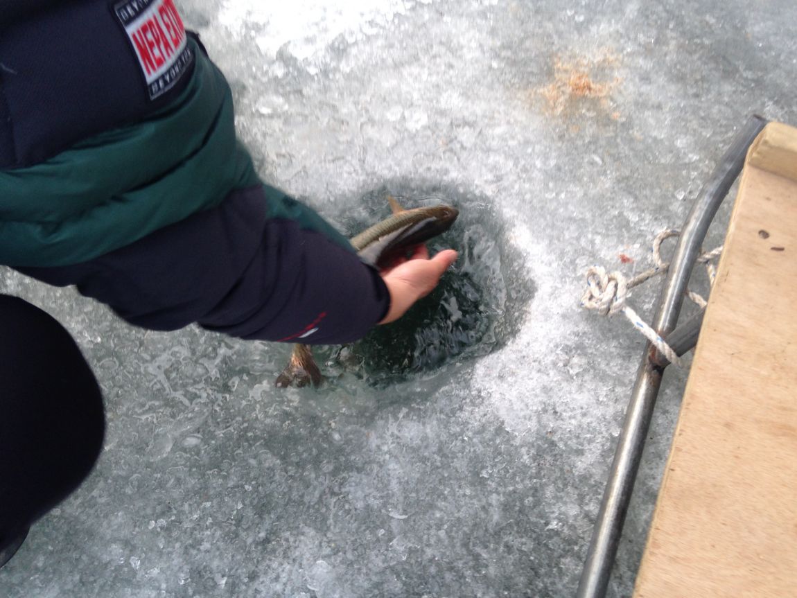 ���� 017.jpg