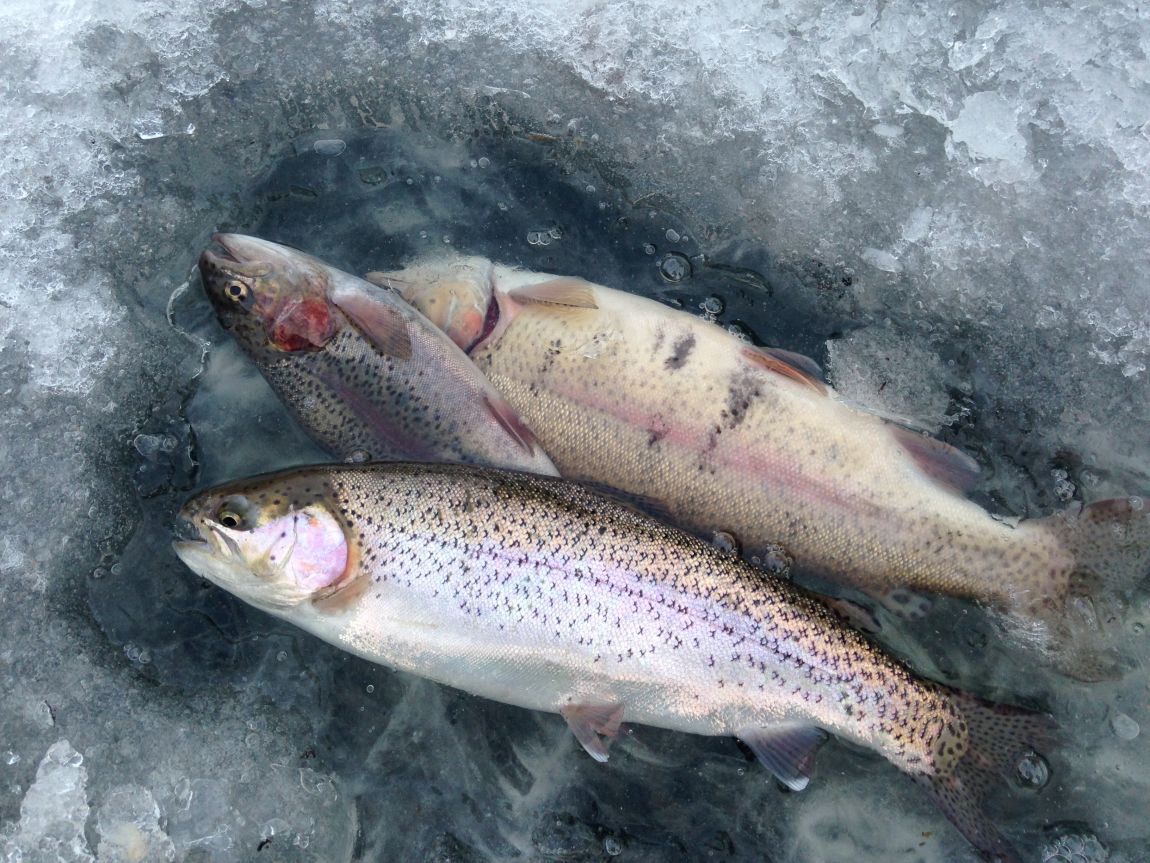 ���� 018.jpg