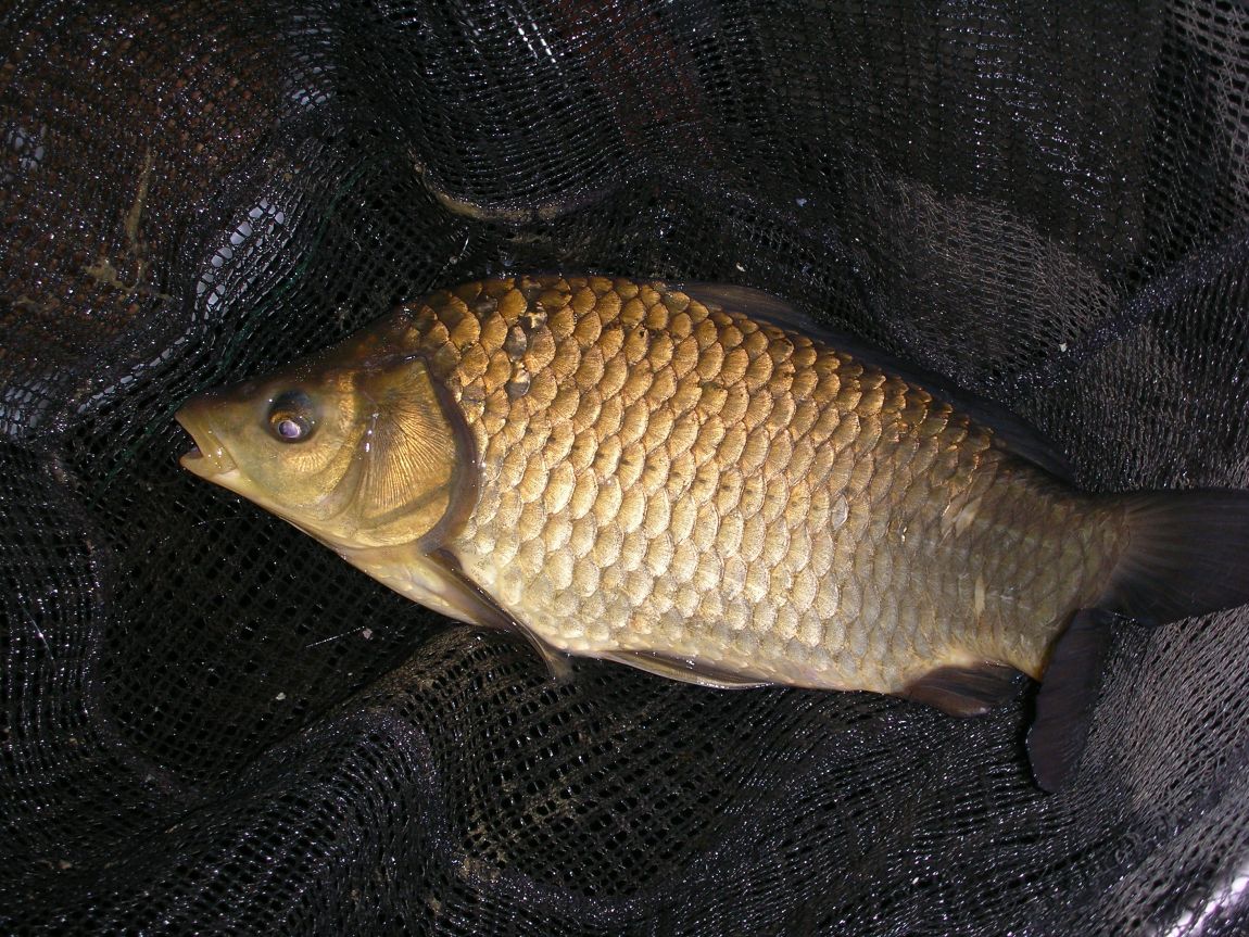 DSCN2509.JPG