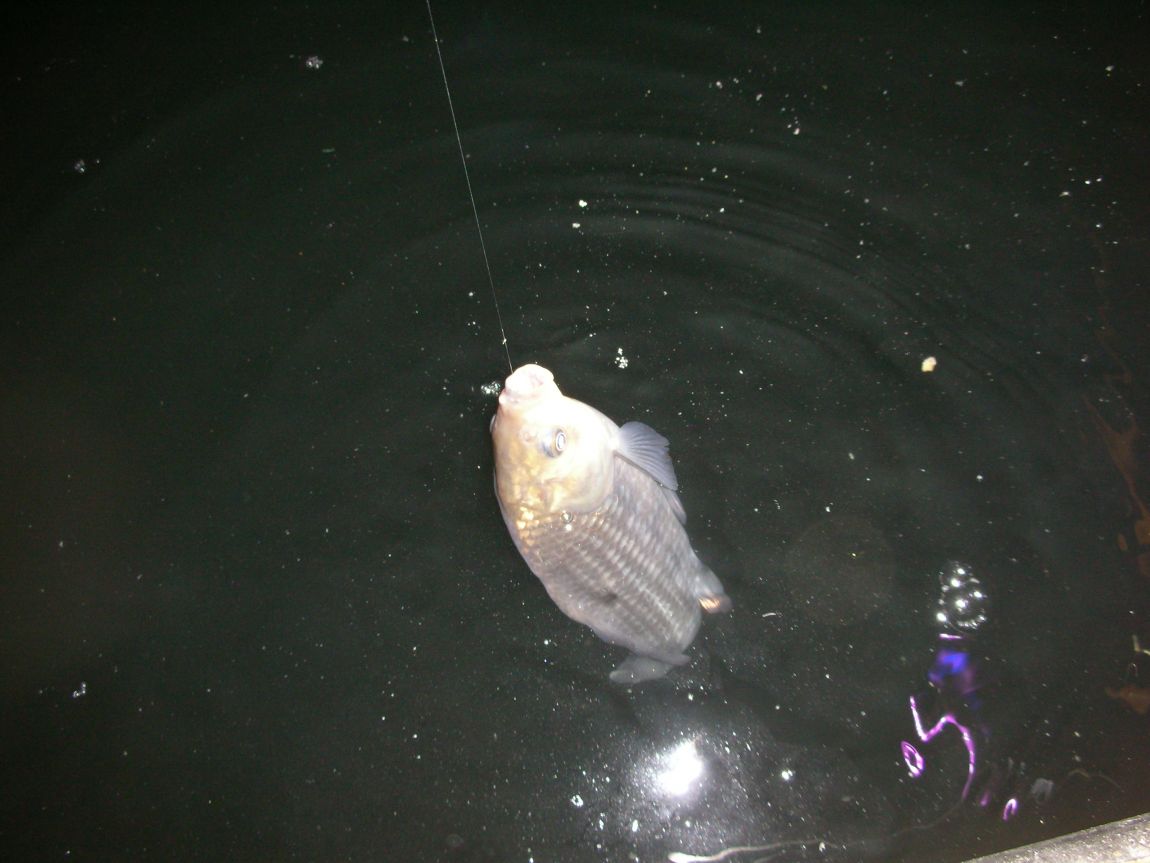 DSCN2510.JPG