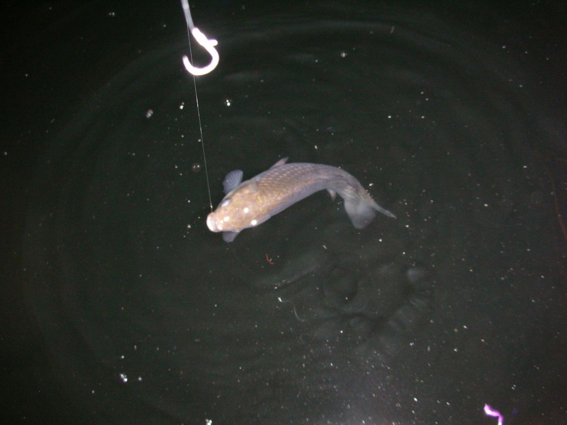 DSCN2511.JPG