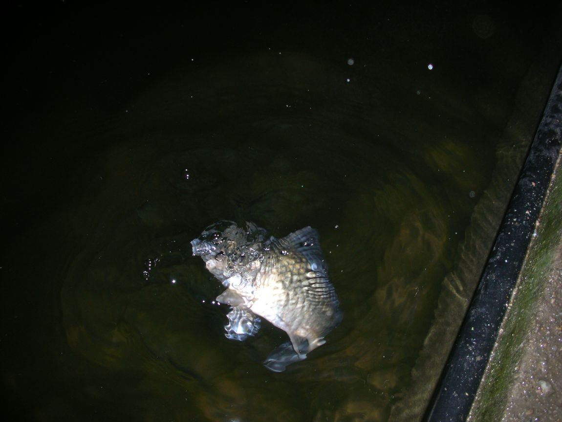 DSCN2512.JPG