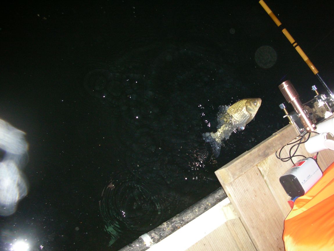 DSCN2513.JPG