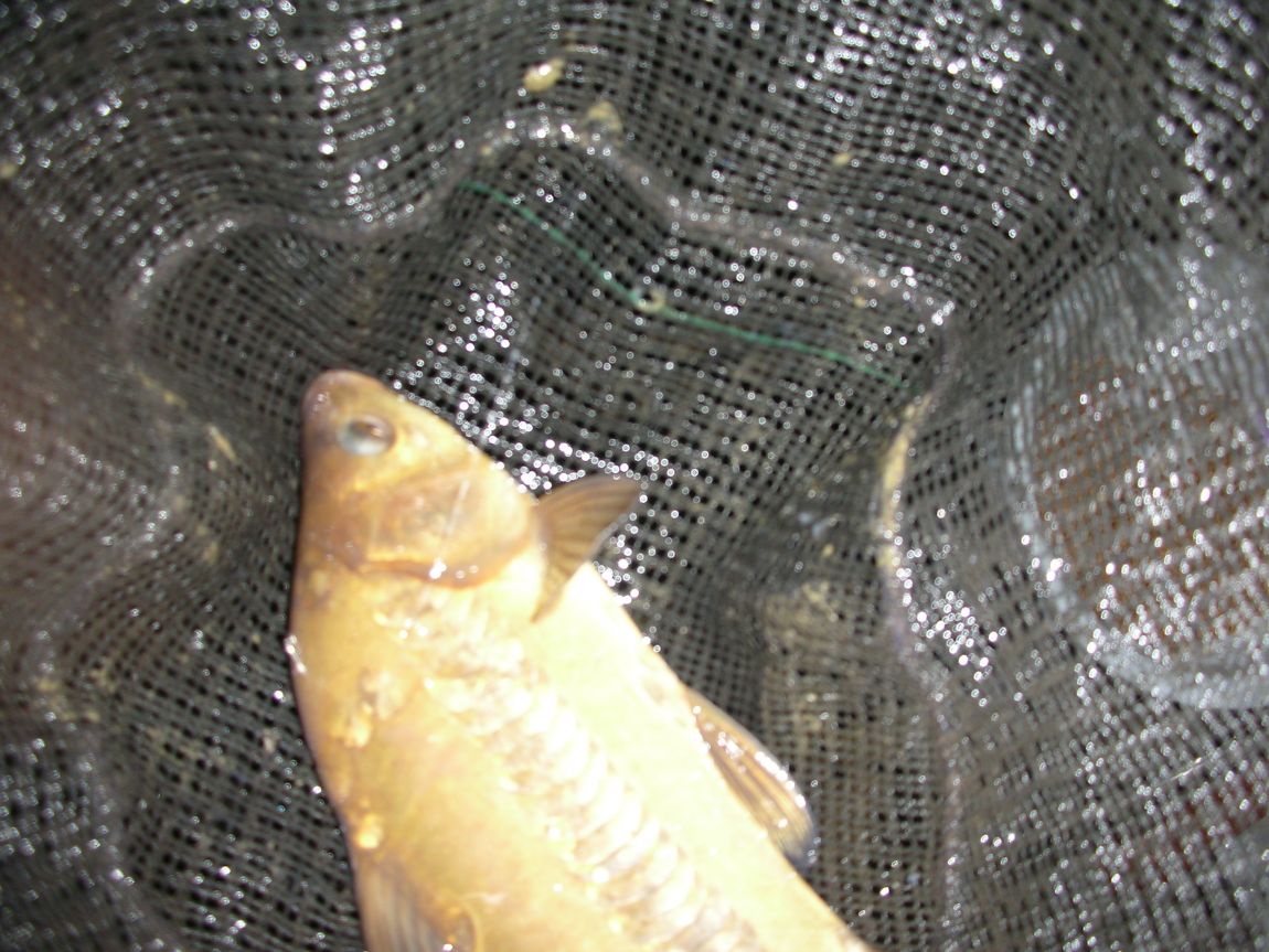 DSCN2514.JPG