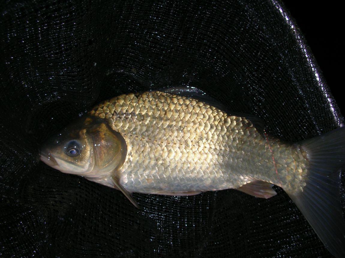 DSCN2517.JPG