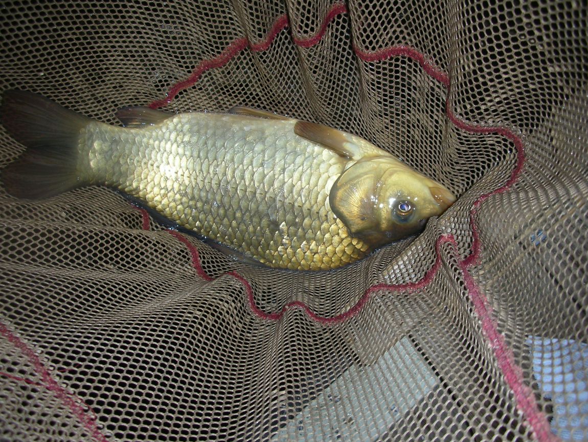 DSCN2518.JPG