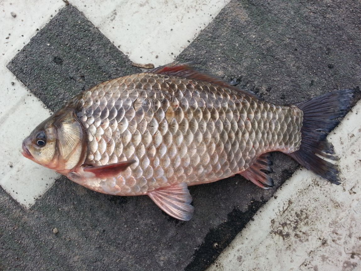 20150207_122502.jpg