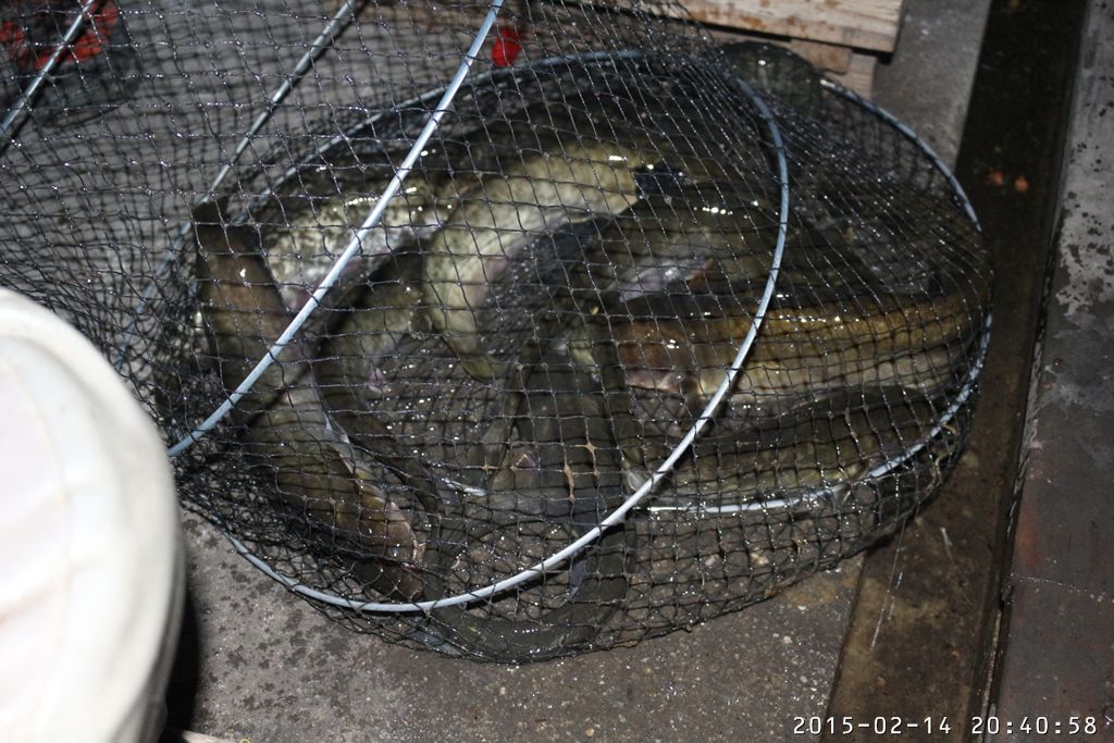 IMG_0213.jpg