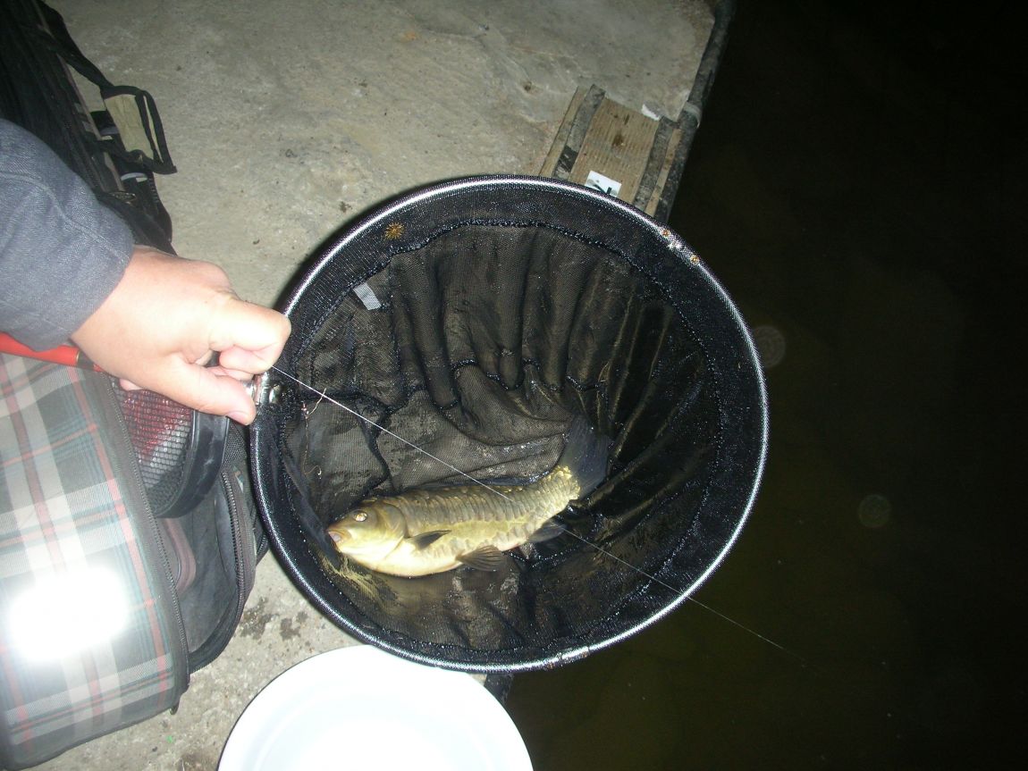 DSCN2581.JPG