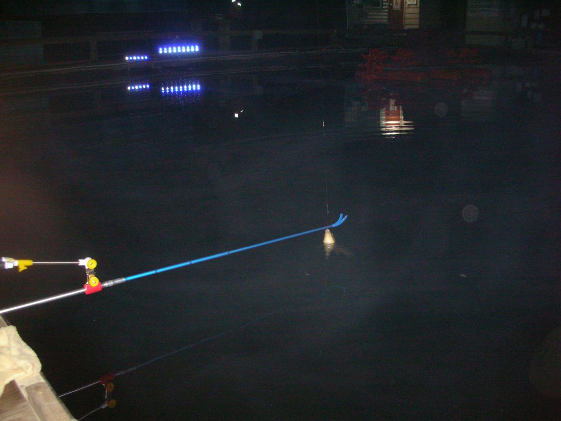 DSCN2582.JPG