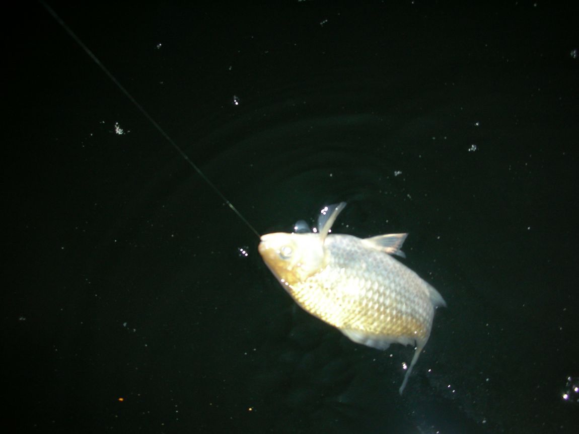 DSCN2585.JPG