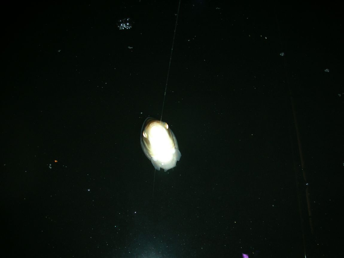 DSCN2586.JPG