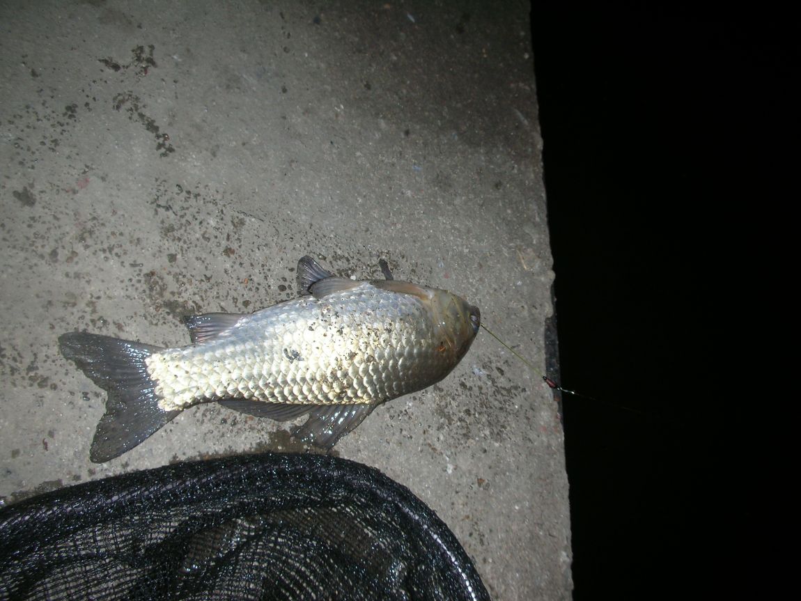 DSCN2587.JPG