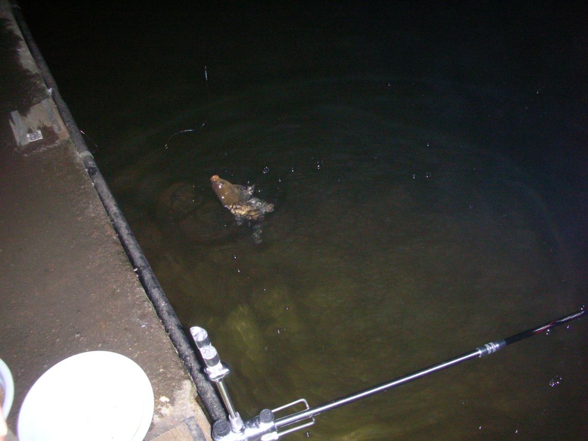 DSCN2588.JPG