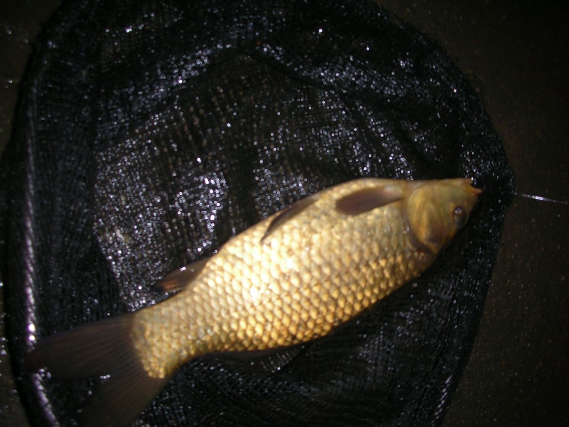 DSCN2589.JPG