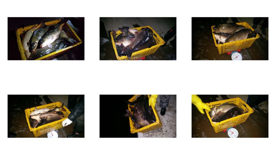 ContactSheet-1 copy.jpg