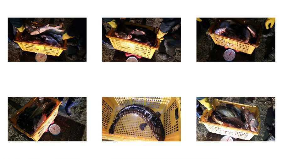 ContactSheet-3 copy.jpg