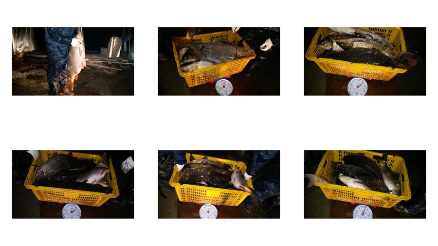 ContactSheet-4 copy.jpg