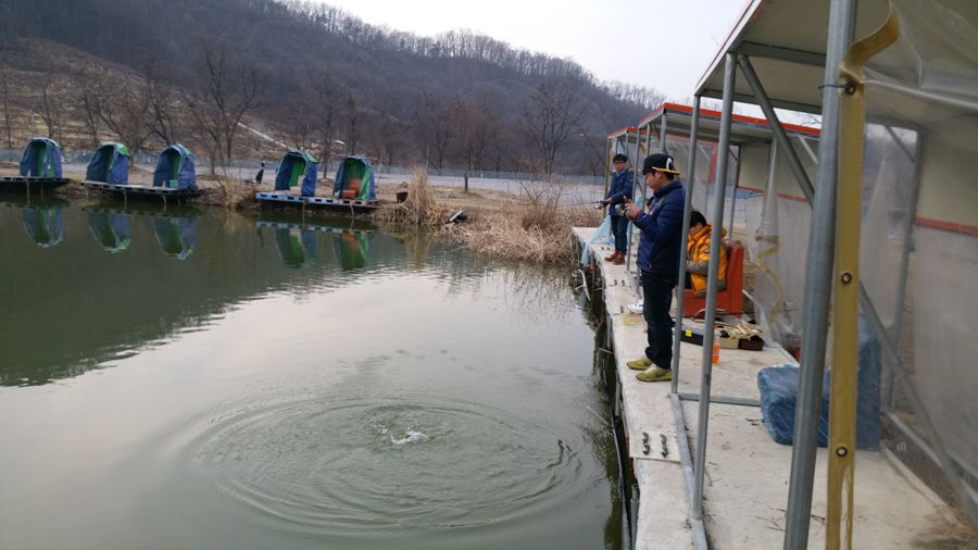 20150220_173127.jpg
