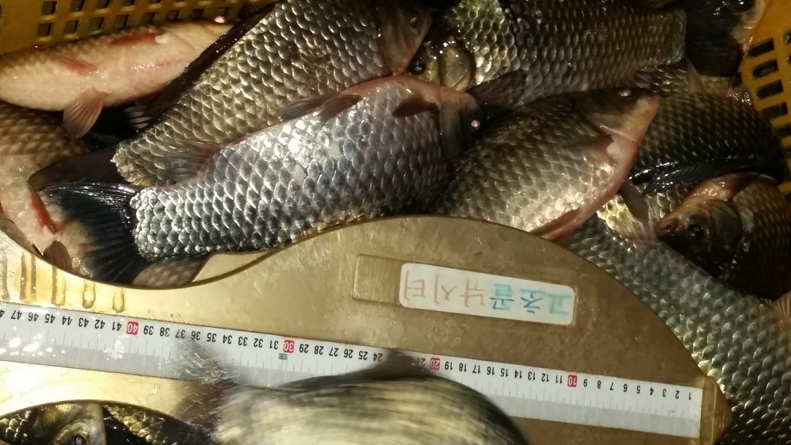 20150223_183414.jpg