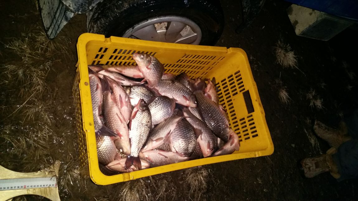 20150223_183814.jpg
